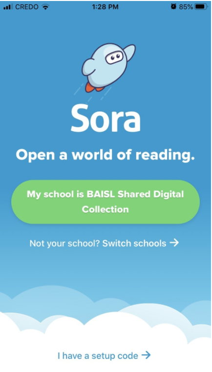 sora app